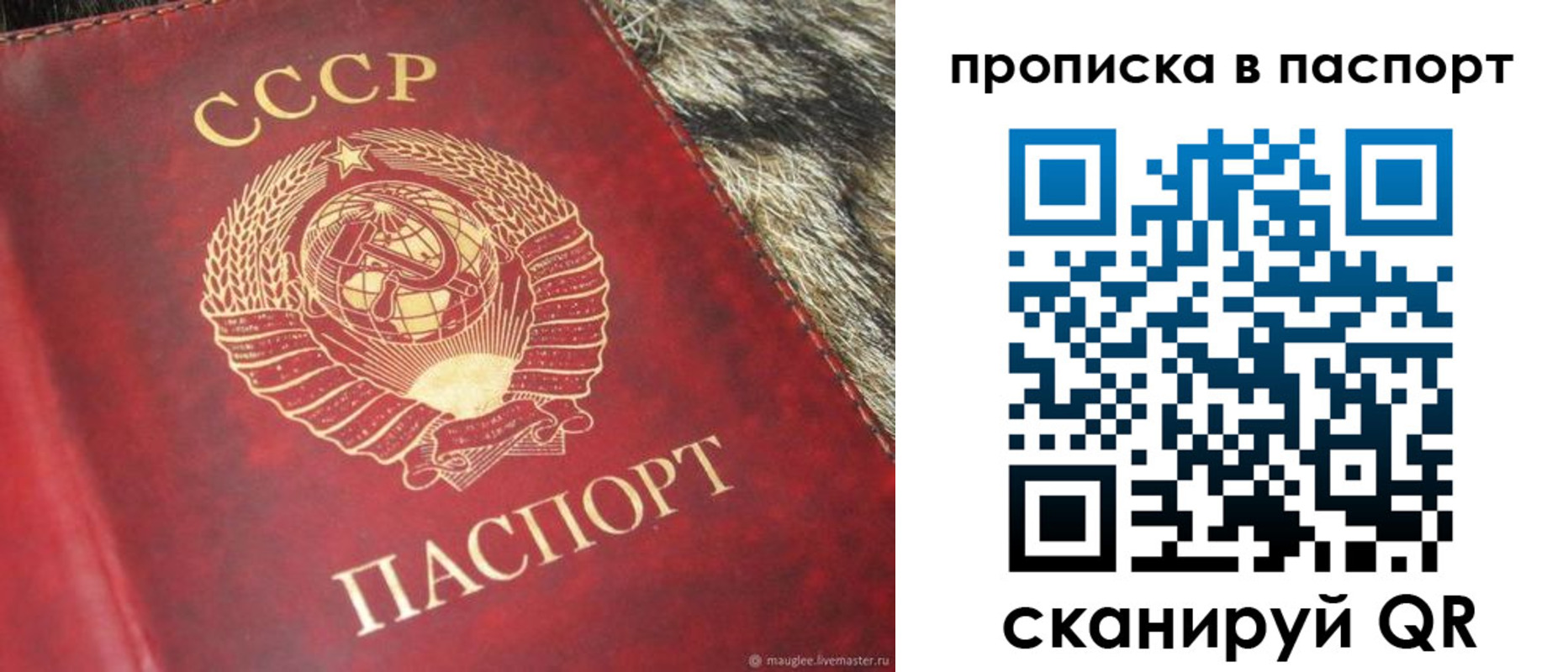 временная регистрация для всех в Благодарном